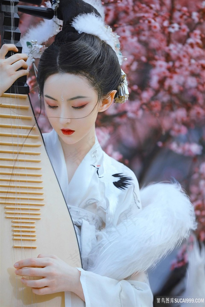 2022来几个网站的填空题